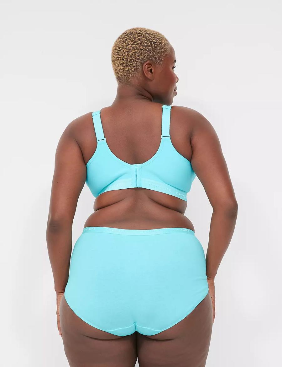 Lane Bryant Cotton Full With Lace Trim Slips Dames Turquoise | ZSH5290EZ